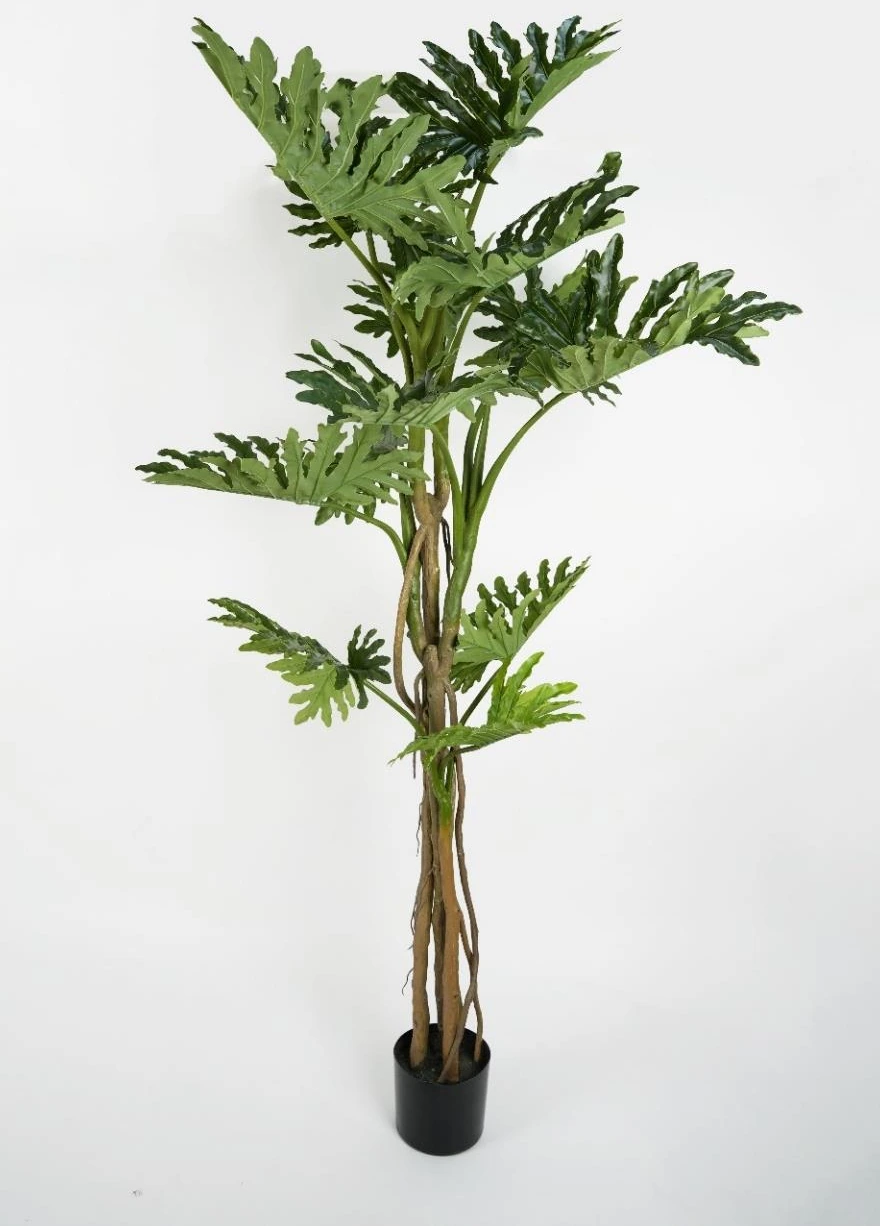 Philodendron Tree x13 Lvs PE Leaves And PU Trunk 175cm